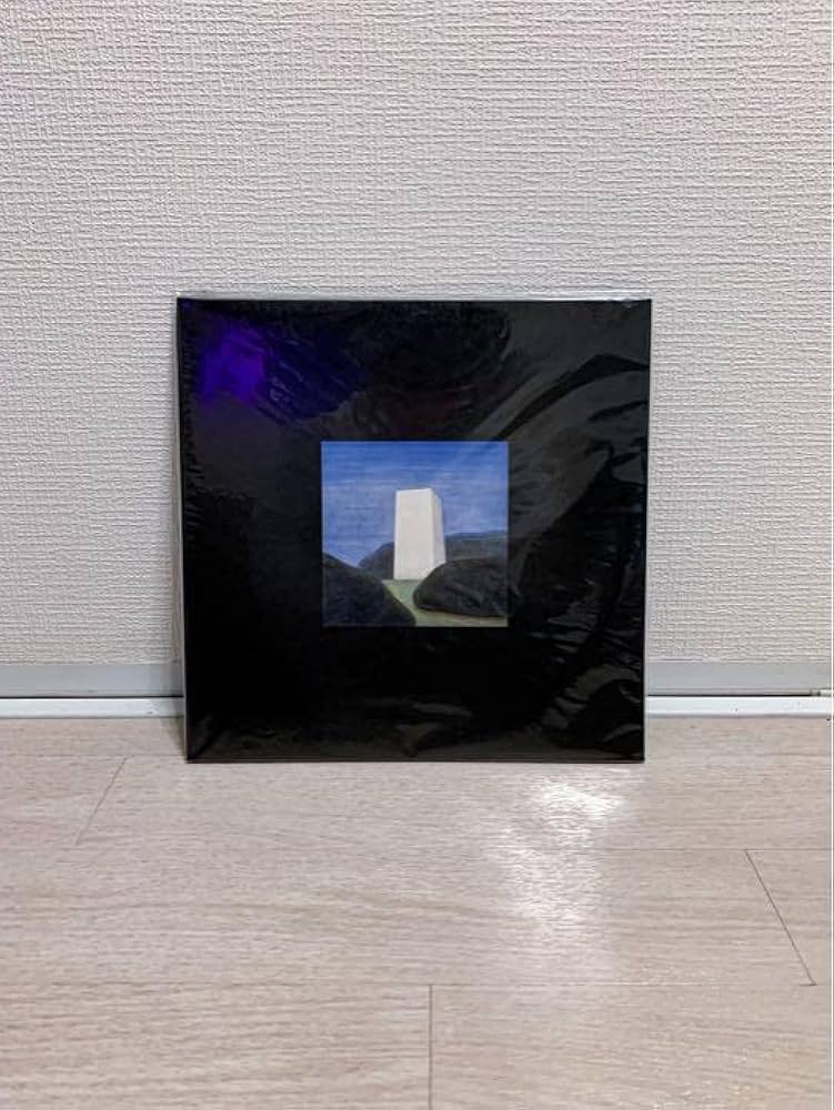 OGRE YOU ASSHOLE 『homely』LPレコード