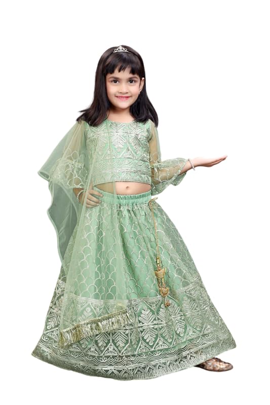 Image of Girl's Princess Lehenga Choli Set - Soft Net, Ribbon Embroidery With Duppata, Readymade