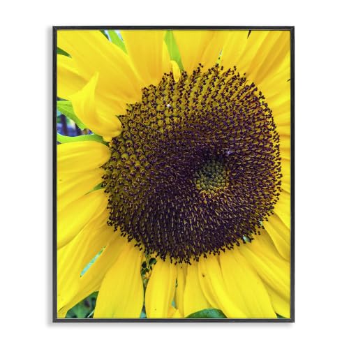 Sunflower Florets Botanical Nature, 11 x 14 Inch Framed Giclée Print