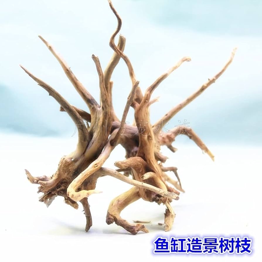 飾り根　流木根　飾り台共　オブジェ 51f0e5ZEYwL._UF894,1000_QL80_.jpg