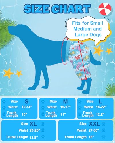 Image of CuteBone Dog Swim Trunks Swimsuit Durable & Comfortable - Quick-Dry, Adjustable Waistband Shorts, UV Protection Bikini- Perfect for Beach, Pool & Outdoor Fun, Dinos DST13M