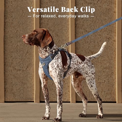 Image of Didog No Pull Dog Harness for Medium Dogs, Classic PU Leather, Blue, L