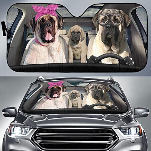 Pare-Soleil Voiture Imperméable Protection UV Intérieur Pliable L