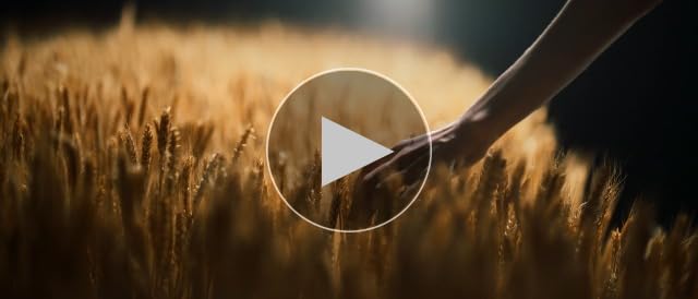 COLBOR CL220 試運転のみ COLBOR CL220 試運転のみ