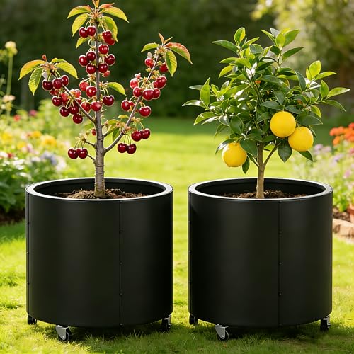 2 Pcs Round Metal Planters for Outdoor Plants on Wheels 22 Tall Planters Pots with Drainage Holes for Citrus Trees Vegetables Morden Large Raise Planter Box for Commercial Patio Porch Black