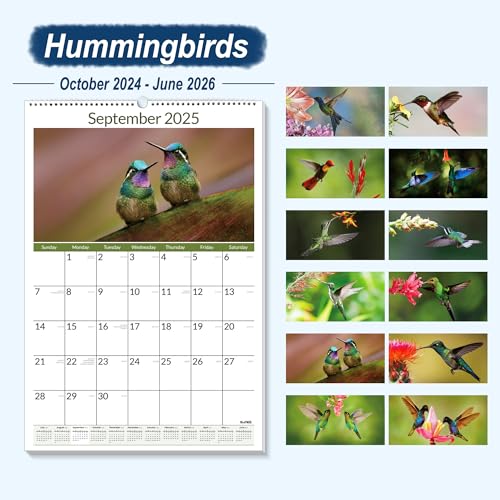 Sunee2025wallcalendarlarge2275x15521monthcalendarfromnowtojune2026verticalextralargemonthlycalendar20252026forwallhummingbirds  Urban Country Home Decor Sunee 2025 wall calendar large 2275×155 21 month calendar from now to june 2026 vertical extra large monthly calendar 2025 2026 for wall hummingbirds  urban country home decor