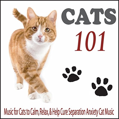 Play Cats 101 Music For Cats To Calm Relax Help Photo Inspiration