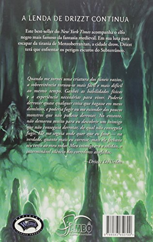 A Lenda de Drizzt. Exílio - Volume 2