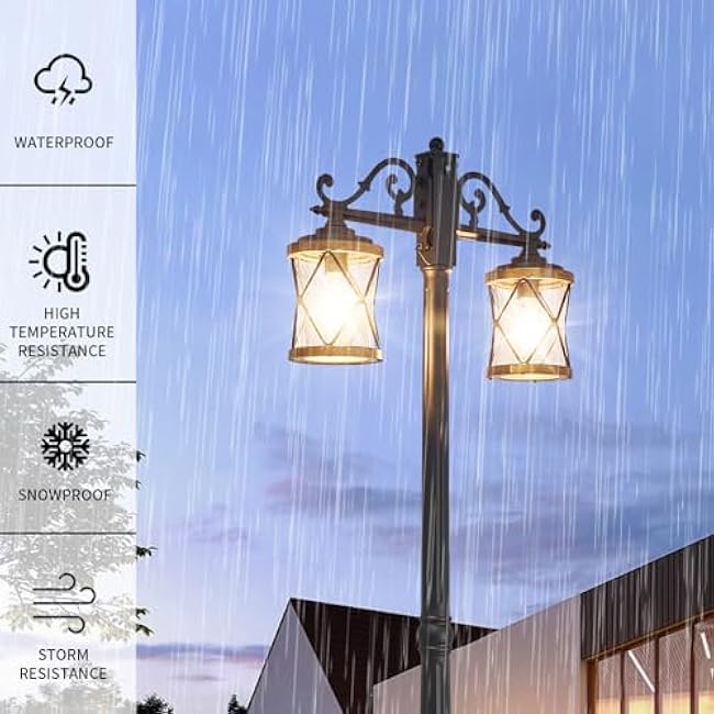 Outdoor Lamp Post Lights Double-Head Farmhouse Street Light Fixture Black Lantern