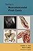 Netter's Musculoskeletal Flash Cards (Netter Basic Science)