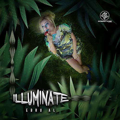  Illuminate
