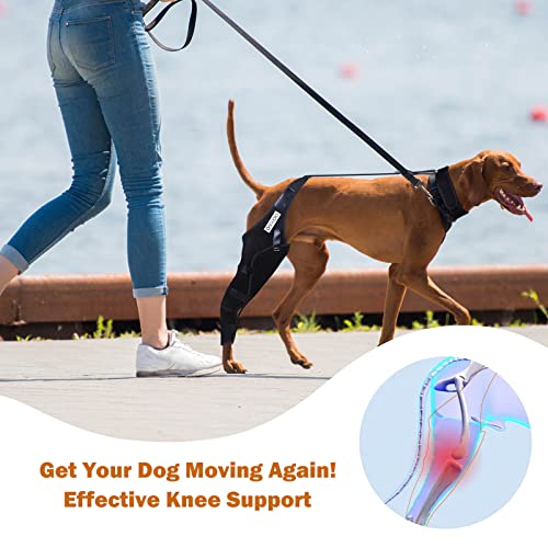 Image of Dog Knee Brace for ACL, Knee Cap Dislocation, Arthritis - Full Wrap - Easy Adjustable - Extra Support - Reduces Pain and Inflammation - Full Sizes
