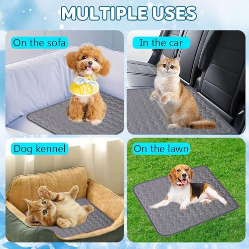Generisch Große Kühlmatte Hund Katze,Selbstkühlende Hundekühlmatte,Eisseide Kühlmatte für Hunde Katze, Waschbares Hundematte, für Zuhause Unterwegs oder im Auto (Dark Gray 70 * 55cm-L)