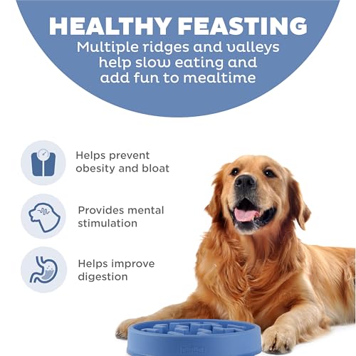 Outward Hound Large Slow Feeder Bowl, Puzzle Maze for Fast Eaters, Medium to Large Dogs, Helps Prevent Bloat & Aid Digestion, Holds 4 Cups Wet or Dry Food, Non-Slip, Made Without BPA, Blue - Image 3