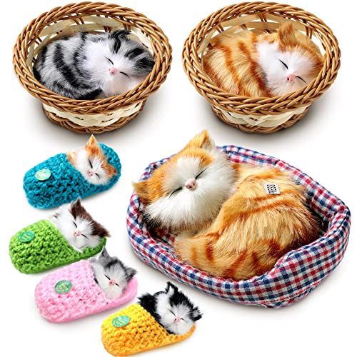 10 MustHave Products to Keep Your Sleepy Kitten Purring A Review and