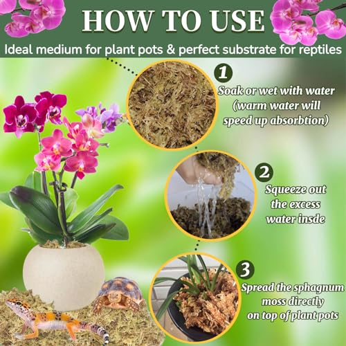 Natural Sphagnum Moss for Plants - Orchid Potting Mix Peat Moss Carnivorous Dried Bark for Sarracenia, Gardening Succulents Reptiles Decorating Terrariums Potted Propagation (2.5QT)