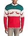Alex Stevens Men's Reindeer Sweater