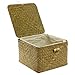 MyGift Brown Hand Woven Rattan Home Storage Basket/Decorative Box with Lid & Removable Fabric Lined Interior