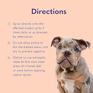 Mysimplepetlab Infected Skin and Anti Itch Dog Spray | Dog Itching Relief for Cleaning and Drying Superficial Cuts Punctures Abrasions | Best Hot Spot Treatment for Dogs and Dog Itching Skin Relief  Cucciolini Doodles Mysimplepetlab infected skin and anti itch dog spray | dog itching relief for cleaning and drying superficial cuts punctures abrasions | best hot spot treatment for dogs and dog itching skin relief   cucciolini doodles