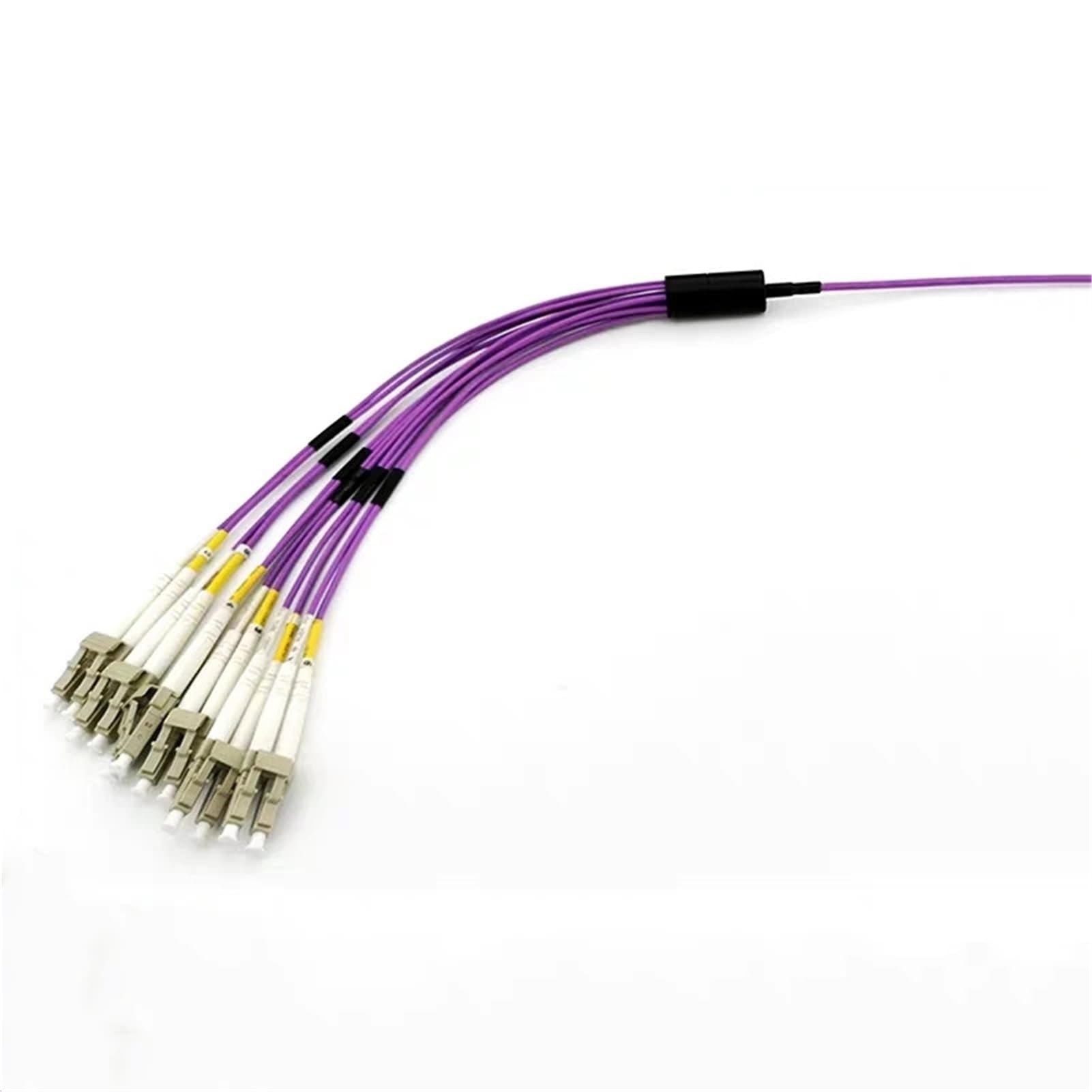 12 Core 1 Meter Jumper cavo in fibra ottica (SM entro 0.7dB)