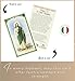 St Jude Rosary - Laminated St Jude Prayer Card, The Lord's Prayer Card - One Decade San Judas Rosary, Catholic Cards Set - San Judas Tadeo Rosario Patron Saint of Hope and Impossible Causes - 3 Items