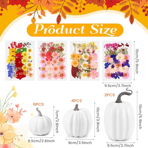 Kit 12 Pzs Calabaza Artificial y Flores Secas para Decoración miniatura 3