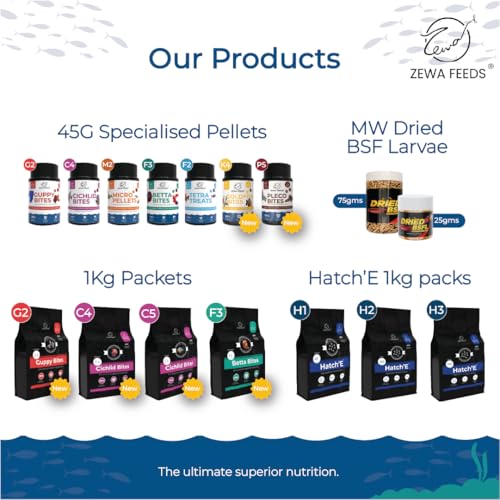 Image of Zewa Guppy Bites 45 g(Pack of 3) | High Protein Fish Food for Guppy & Small Fish | Micro Pellets 0.3-0.6 mm | 88% Digestibility | Rapid Growth & Vibrant Color