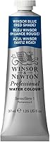 Vista 422 de Winsor & Newton - Pintura para acuarela profesional