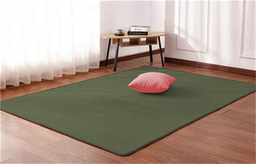 Couleur Unie Nouveau Tapis Velours Corail Pôle Bambou Vert épais Doux Antidérapant Moquette Moderne Lavable Rugs pour Salon Chambre à Coucher Lit Tatami Décoration de la Maison Gros Rug -140×200cm