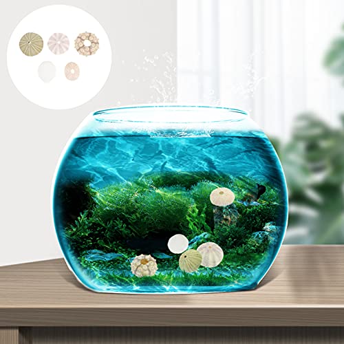 Pflanztopf In Form Eines Weiblichen Körpers – 3D-gedruckte Blumenvase Für Sukkulenten – Deko Für Haus & Büro