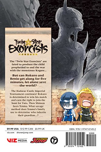 Image of TWIN STAR EXORCISTS, VOL. 13