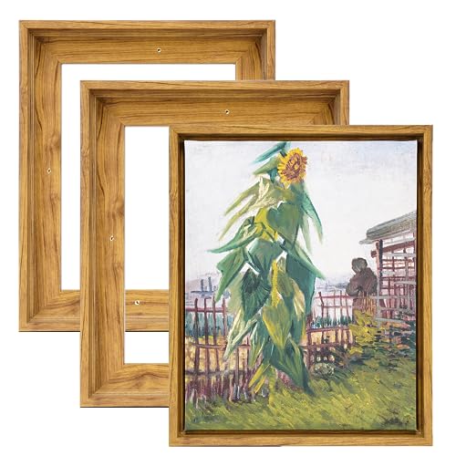 HUACANVAS 3Pack Canvas Floater Frames,Canvas Floating Frame 3/4