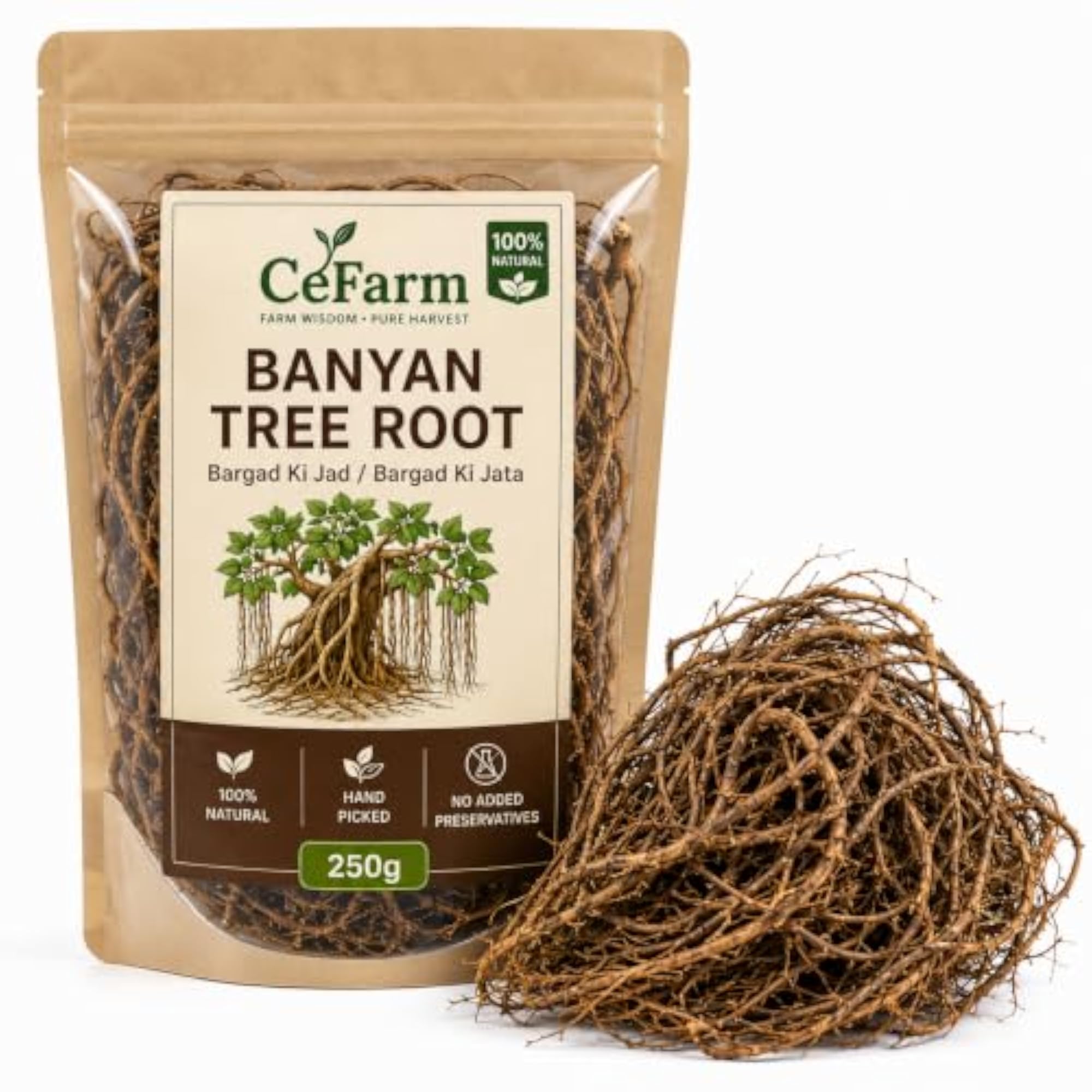 Banyan Tree Root 250g for Natural Decor