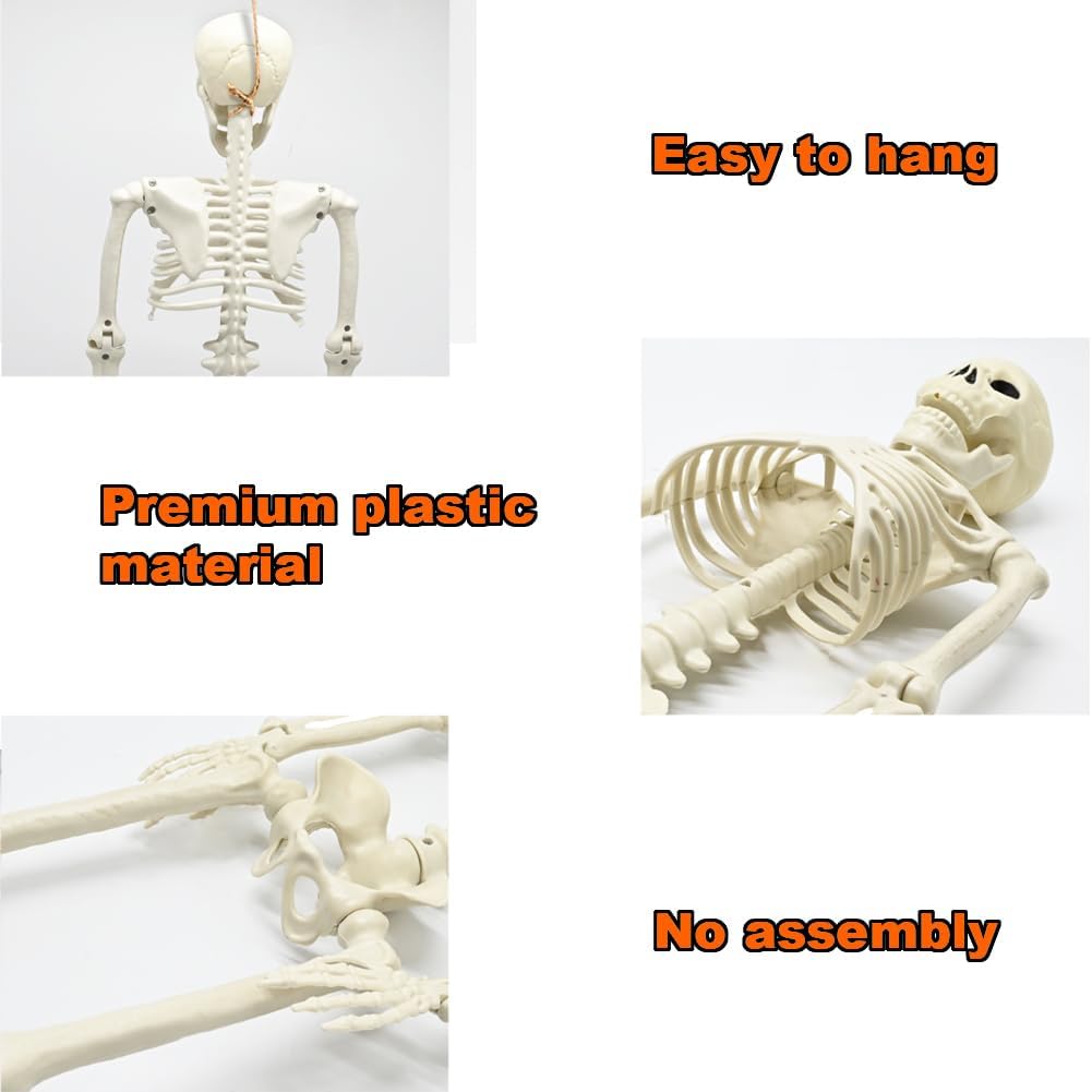 CAMIRUS Esqueleto de Halloween de 3 pies, esqueleto de Halloween de cuerpo completo de 36 pulgadas con articulaciones articulables móviles, accesorio de huesos humanos realistas de plástico para