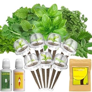 Lyko Gourmet Herb Seed Pod Kit for AeroGarden, iDoo, Ahopegarden, GARDENCUBE, 7 Pods with Basil, Parsley, Mint, Cilantro, Licorice, Hydroponics Growing System Kits for Indoor Garden Lyko Gourmet Herb Seed Pod Kit for AeroGarden iDoo Ahopegarden GARDENCUBE 7 Pods with Basil Parsley Mint Cilantro Licorice Hydroponics Growing System Kits for Indoor Garden
