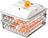 Incubateur de poussins d'oeufs de ferme Petit incubateur intelligent automatique avec éclosoir de contrôle de température pour l'éclosion de poulets, de canards et d'oiseaux (batterie unique de type L