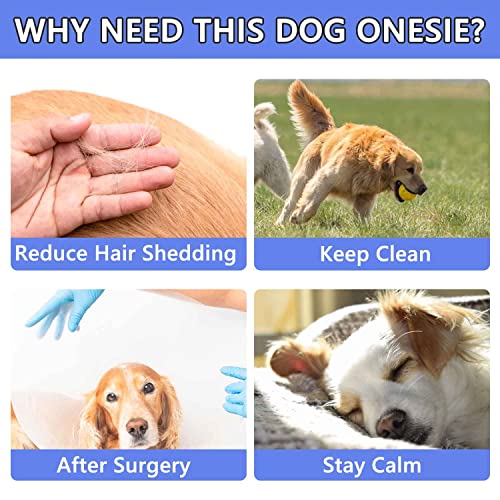 Image of Dog Onesie Surgical Recovery Suit for After Surgery Pet Anti Shedding Bodysuit Long Sleeve Anxiety Shirt for Female Male Dog Purple /L
