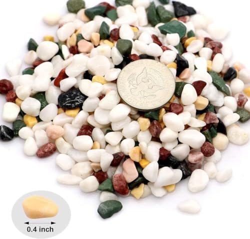 image for TOYPOPOR 6LB Succulent and Cactus Gravel Pebbles, 1/5 Inch Natural Dec
