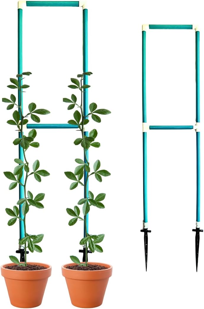 - Plant Support Pole Stick Support Balcony Privacy Screen 5 Feet for Plant Support and Creeper Support Garden Structure-Pack of 1, Teal