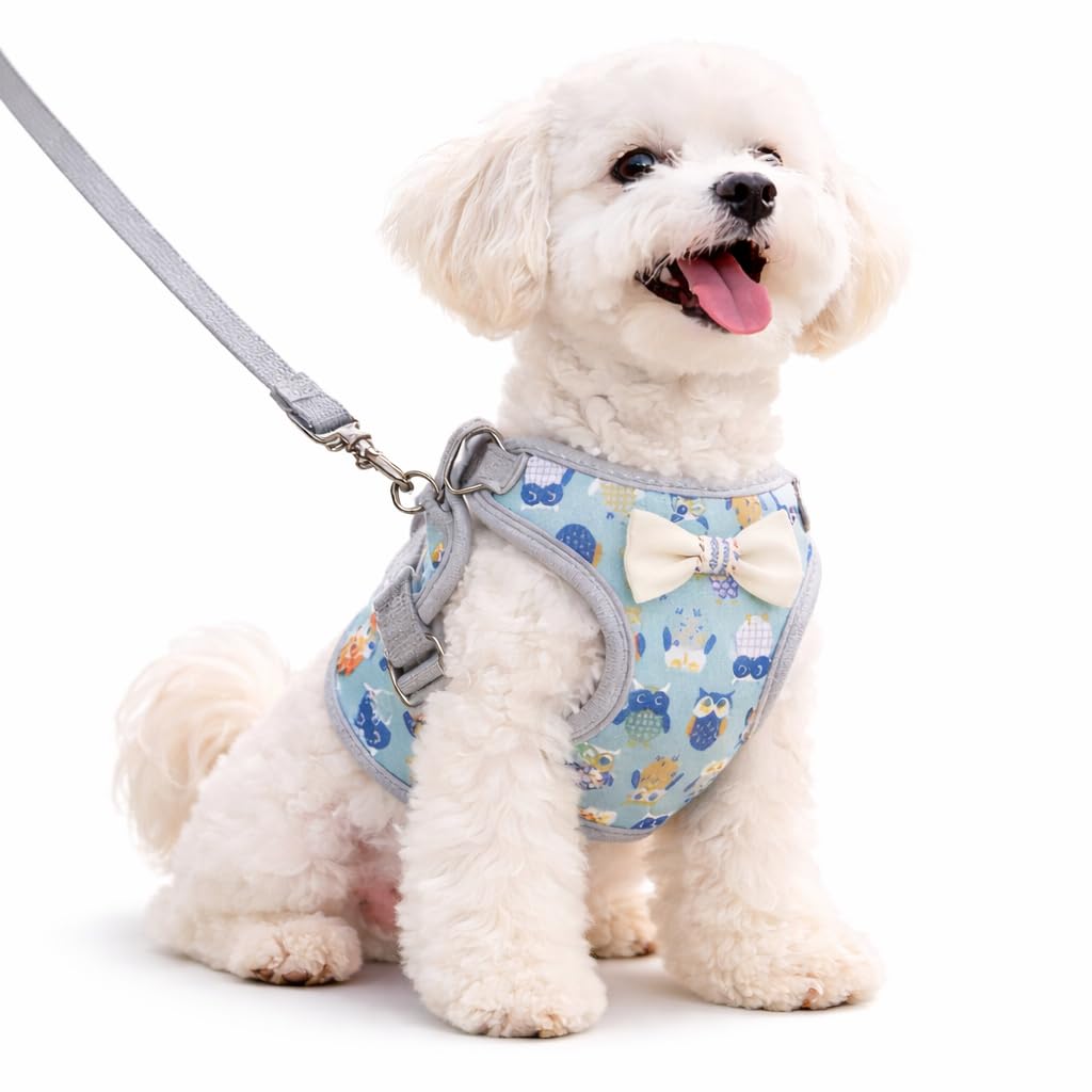 Tinyfingers Puppy Cotton Padded Harness & Leash Set,Adjustable no Pull Grey,M (5.5kg -9 kg Dogs & Cats)