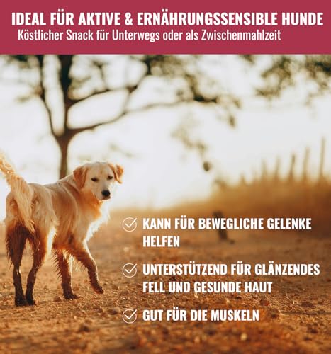 RiNa`s 100% Kabeljau & Lachs - Natürliche Hundeleckerli aus Fisch - Gefüllte Stangen 140g