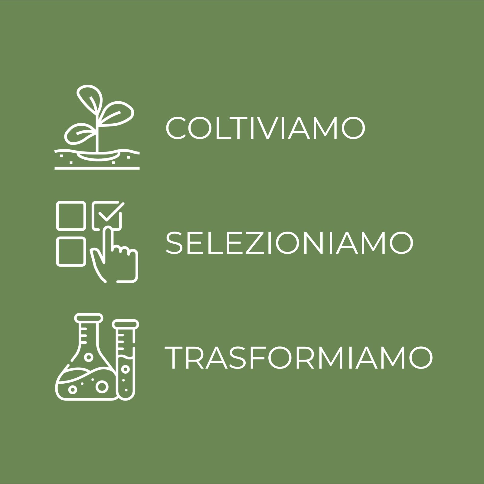 Bottega Verde - SOL Crema Autoabbronzante Viso - Effetto Naturale - Crema autoabbronzante per un colorito naturale e luminoso - 50 ml