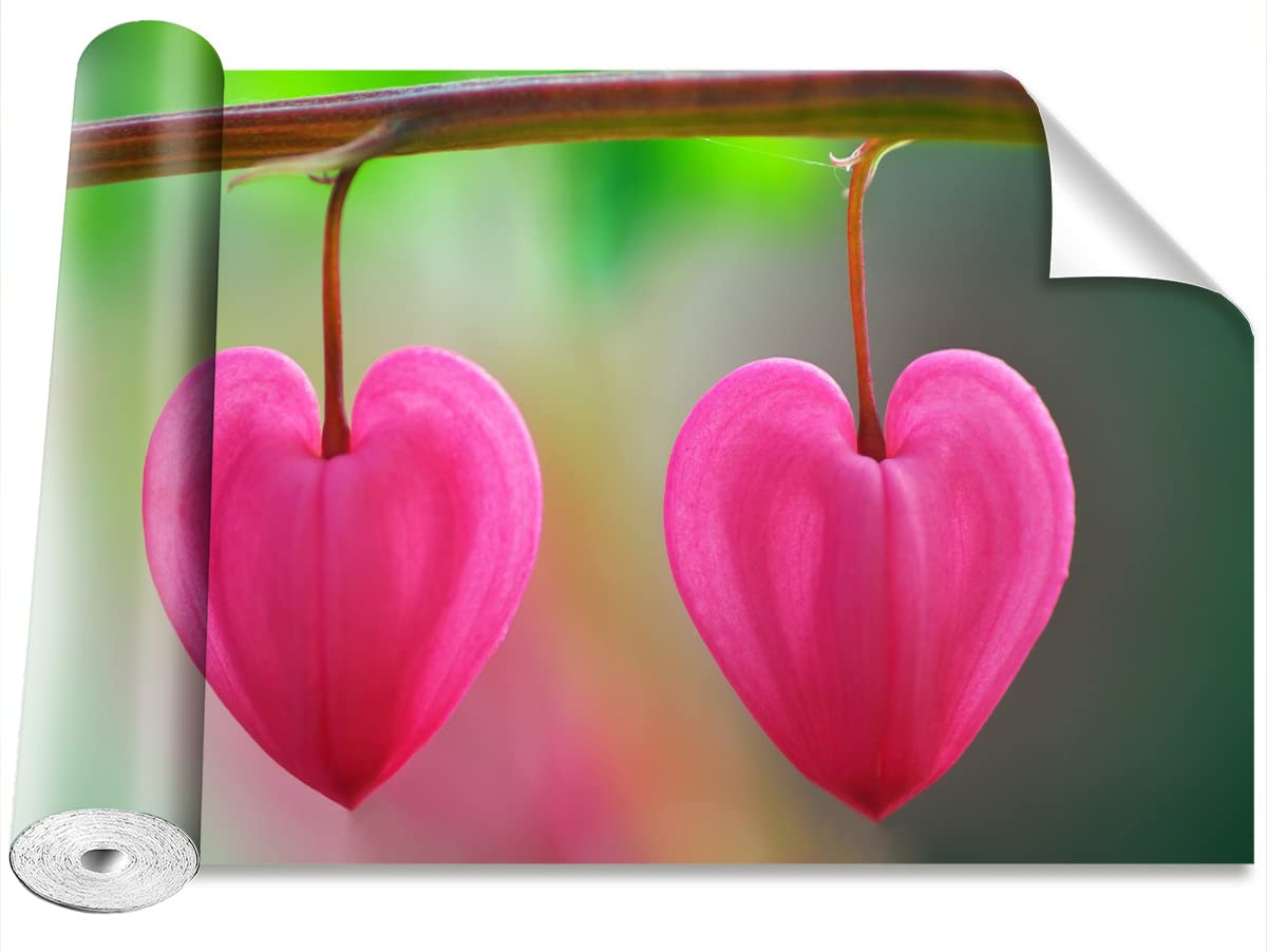 Papier peint fleur de coeur Tulup pour une decoration murale moderne de salon