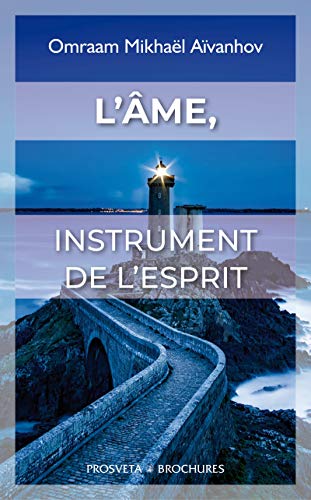 Télécharger L'ÂME, instrument de l'esprit livre En ligne