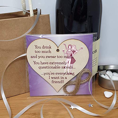 The Plum Penguin Handmade Wooden Hanging Heart Plaque Gift You're everything I want in a friend novelty alcohol funny window wall hanger absent friends friendship keepsake - Image 3