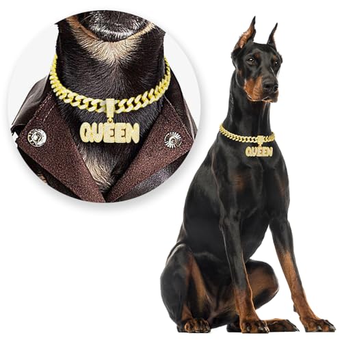 LuxLife S[hƔL̎փWRjAXg[ƃOy_gAX^CbVŃLLybglbNX^ƔLp(36C`)