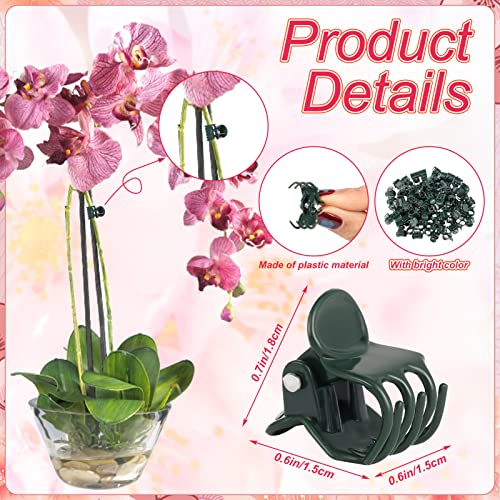 Pinenuts 100 Stück Orchideen Klammern Pflanzenclips, 1.5 cm Dunkelgrüne Orchideen Clip Kunststoff Pflanzenklammern für Unterstützen und Halten Pflanze