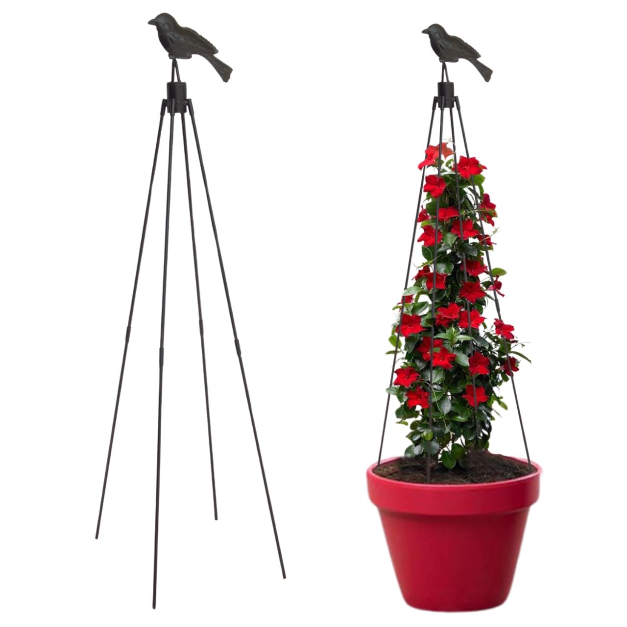 ecofynd Obelisk Trellis for Climbing Plants Outdoor, Garden Trellis for Potted Plants Indoor, Plant Support for Vegetable,Vines & Flowers, Rustproof Coated Tomato Cage Tower (1 Pack) (B0D34XSSZV) Amazon Price History, Amazon Price Tracker