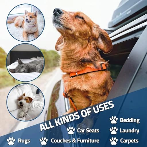 Pet-Hair-Remover-and-Reusable-Lint-Roller-for-All-Types-of-Surfaces-Portable-with-a-Large-Capacity-Eco-Friendly-Easy-to-use-Fur-Remover-Tool-for-Cats-and-Dogs-Teal