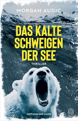 Das kalte Schweigen der See: Thriller